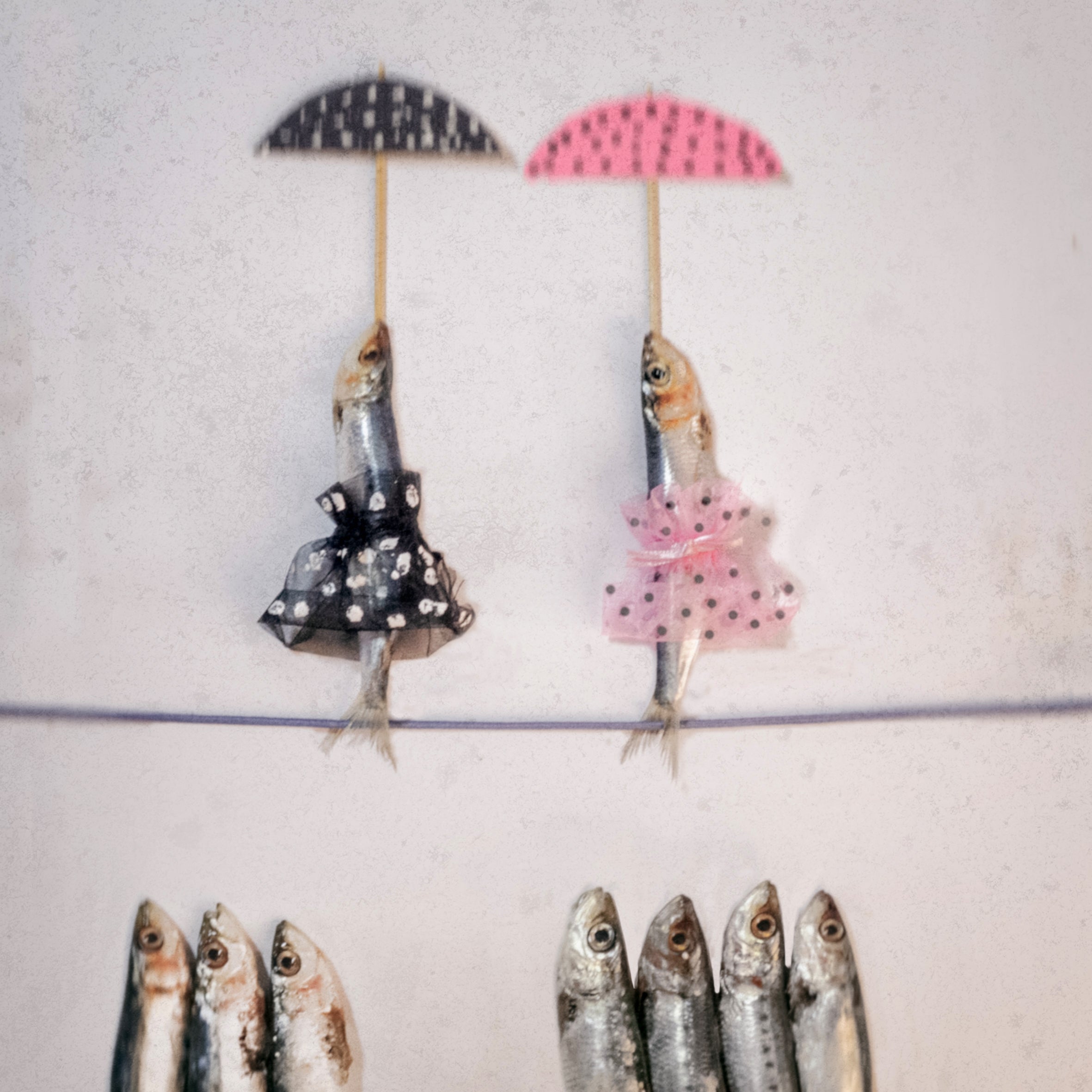 Enrico La Bianca X Passaggi: presentazione mostra fotografica "Il circo delle sardine"