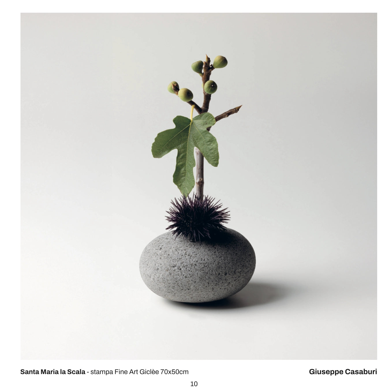 Catalogo mostra "pAssaggi 2025-2027" - GRATUITO